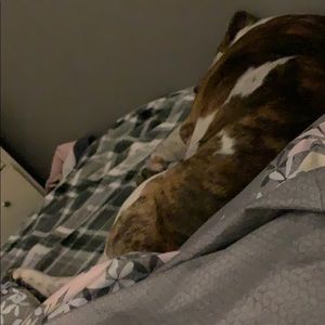 Meet your Posher, Angel